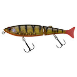 freddy 130 cw noisy magic perch