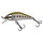 rodan 40 SHW gunki