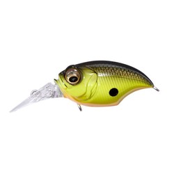 MRX griffon BBC megabas