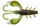 magic craw 80 illex