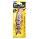 BBZ 5'' SS rainbow trout