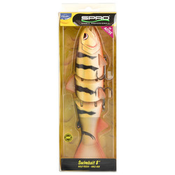 BBZ 8' SS gold perch  spro