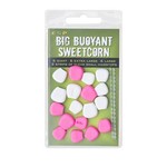 big buoyant sweet corn rose/blan