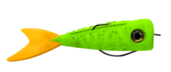 poppy 14cm lemon flash
