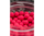 spike um wafter sonubaits 