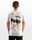 tee shirt magnify grey guru