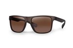 avius khaki verre marron fox