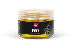 dumbell wafter mix essential cel
