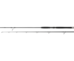 canne shadow cat spin 2.7m 200g