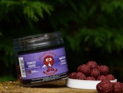 wafter forest squid  dudi