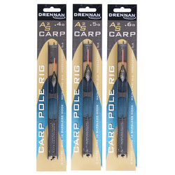 AS carp 2 pole rig drennan
