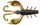 magic craw 80 illex