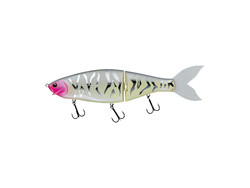 laughin 300 blush tiger