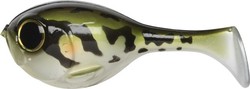 deraball tonsonoma frog illex