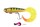 pro grub loaded 16cm fox rag