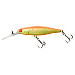 DD squirrel 67 SP orange tiger