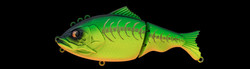 focus 130 bone