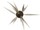 coike fish L elastomer hide up