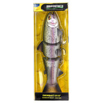BBZ 8' SS rainbow trout spro