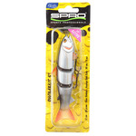 BBZ 5'' SS  roach spro