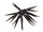 coike fish M elastomer hide up