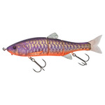 dowz swimmer 180F purple koi