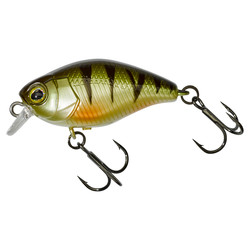 micro chubby 30 perch illex