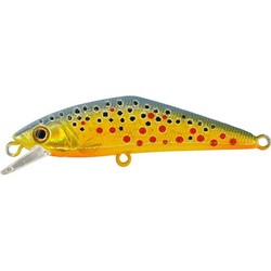 d contact 6.3cm smith 