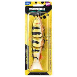 BBZ 6'' SS gold perch spro