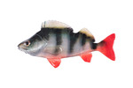4ultra natural perch fillet 8cm