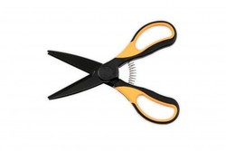 worm scissors guru