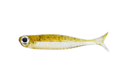 virola micro 1.5' Dstyle
