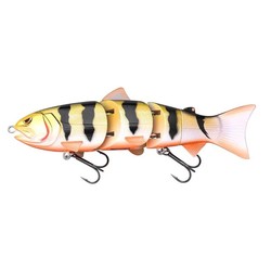 BBZ 8' SS gold perch  spro