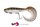 pro grub loaded 16cm fox rag
