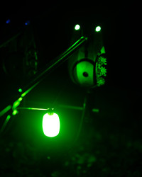 dumpy halo bobins fox