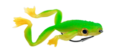 froggy lemon flash 8cm delalande