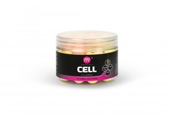 fluoro dumbell wafter PWY cell