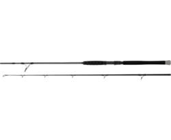 canne shadow cat spin 2.3m 200gr
