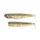 black minnow combo 105 fiiish