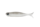 virola micro 1.5' Dstyle