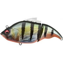 vatalion 115F  GG redfin perch