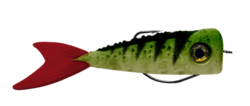 poppy 14cm perch delalande
