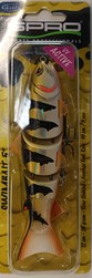 BBZ 50 silent gold perch spro
