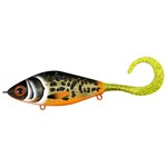 guppie 13.5cm 33 CWC 