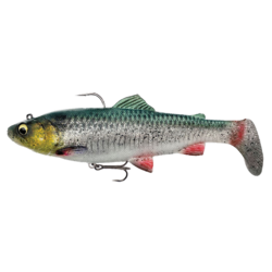 4D trout rattle shad 17cm 