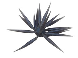 coike fish M elastomer hide up