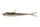 pelagic ready rig slick fine21c