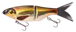 KGB chad shad 180 golden shiner