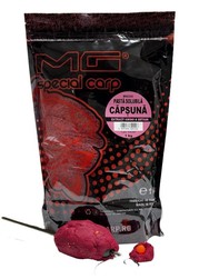 pate soluble 1kg MG special carp