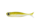 virola micro 1.5' Dstyle